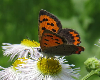 �������`