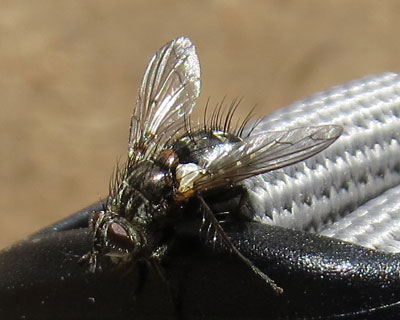 �n�G����x��