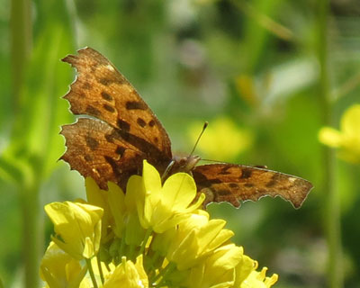 �t�������L�^�e�n