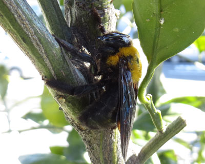 �Q���R���ŋ�����