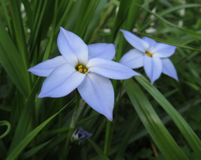 �n�i�j���炢��