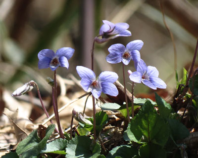 �^�`�c�{�X�~���Q��