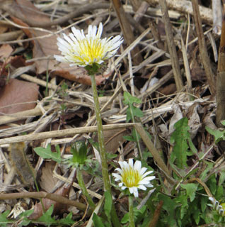 �����^���|�|