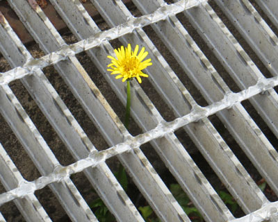 �����^���|�|