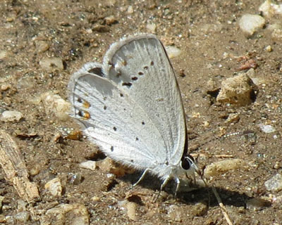 �F���c�o���V�W�~