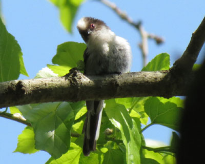 ���킢������