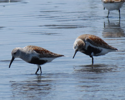 ���䂢�n�}�V�M