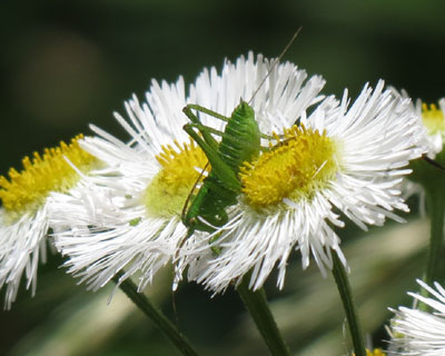 �������������L���M���X�݂�����