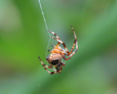 �l���ɓ������Ă��N��