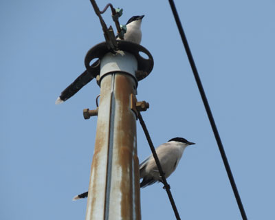 ���܂ɑ��X�����ʉ߂���I�i�K