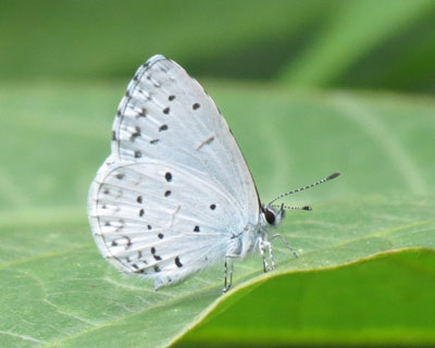 �ڕ@�����킢�������V�W�~