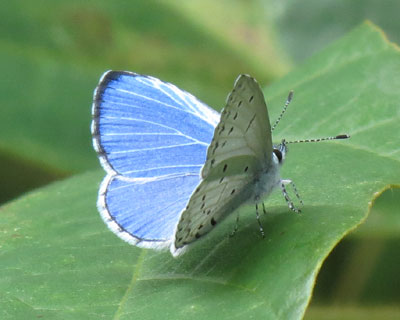 ������ƊJ����