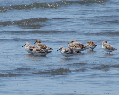 �~���r�V�M���g�E�l��