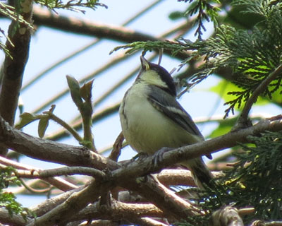 ���F���V�W���E�J��