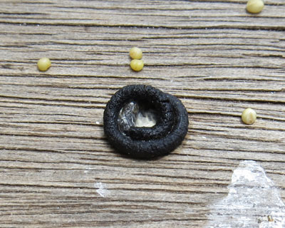 ���̕����Ƃ���ɂȂ�