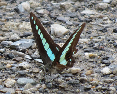 ���ԏ�ł�������