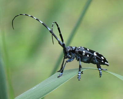 �S�}�_���J�~�L��