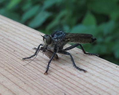 ���͂�m��