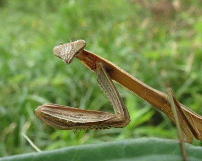 �����U�����