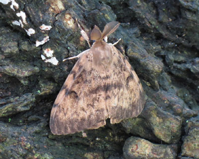 �}�C�}�C�K�Ɏ�����