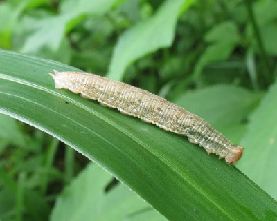 ��������T�g�L�}�_���q�J�Q�c��