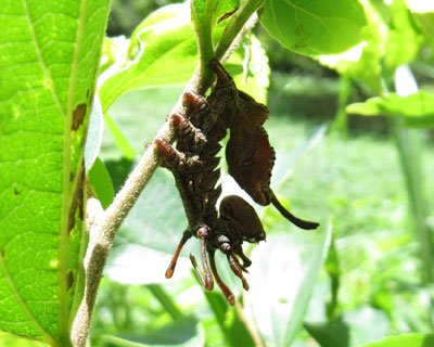 �C������������V���`�z�R�K�c��