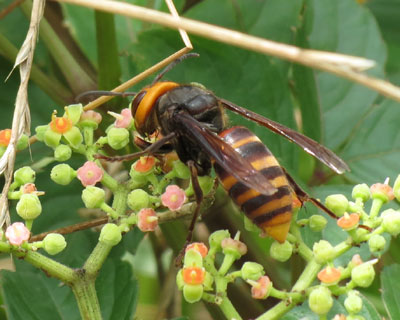 �R�K�^�X�Y���o�`�ۂ�