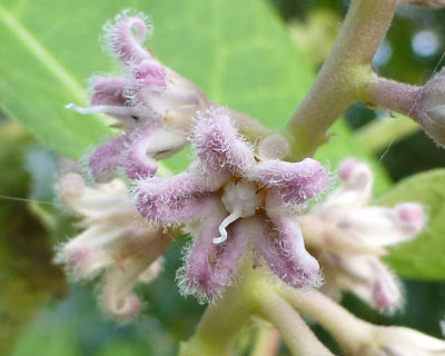 �ق�킩�K�K�C��