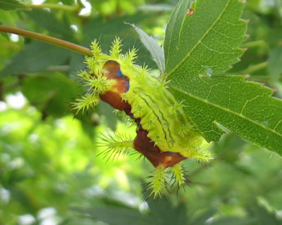 �C���K����