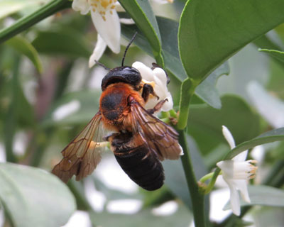 �L���J���ɏW�܂�I�I�n�L���o�`�݂�����