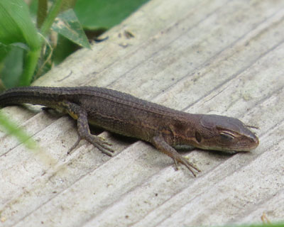 �����E�E�E