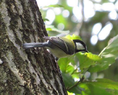 �V�W���E�J��������������