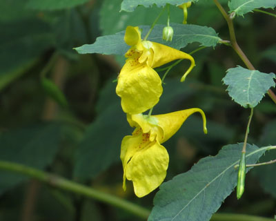 ���K�����킢���L�c���t�l