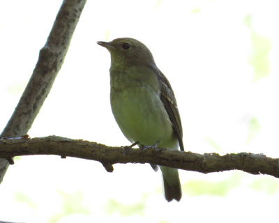 �L�r�^�L�����