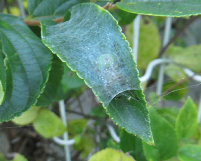 ���������N��