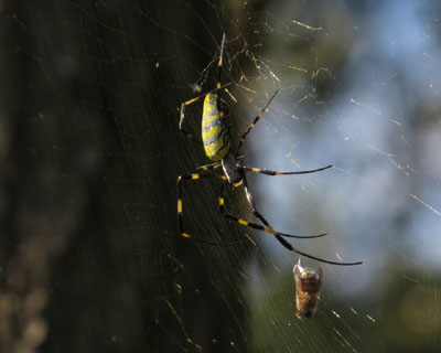 �n�`���͂�