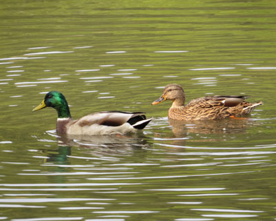 �����x��ă}�K��������