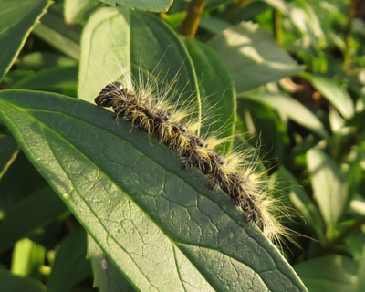 ���������N���V���`�z�R