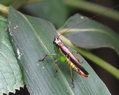 �T�T�L������񂪑�l�ɂȂ��Ă�