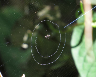 �Q����������ڂ�