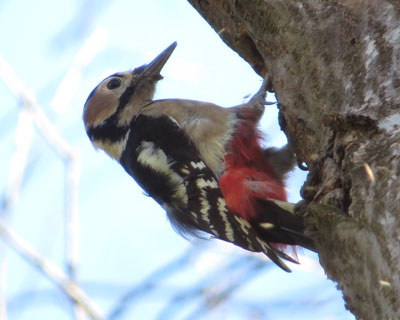 �Ȃ��������A�J�Q��