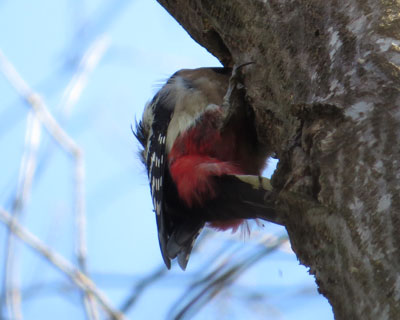 �݂�Ȍ@���Ă�