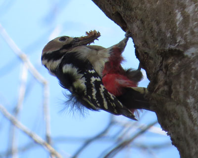 �S�~���U�炷