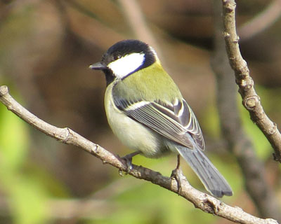 �������s���g���������V�W���E�J��