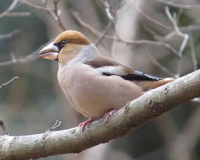 �V��������