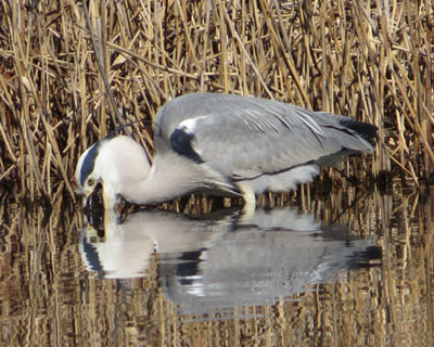 ����Ƌx��