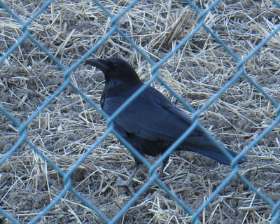 �{�\������