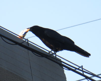 ���َq���^��ł�