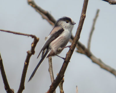 �����Z�����G�i�K