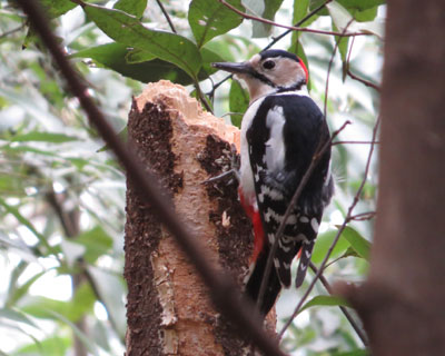 �A�J�Q������������